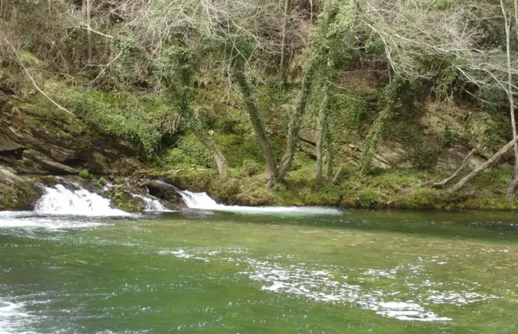 Projeto prevê reabilitação do Rio Alfusqueiro, num percurso de 3 quilómetros